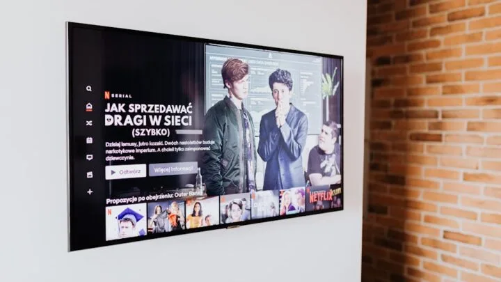 Shameless streaming : plateformes et options gratuites