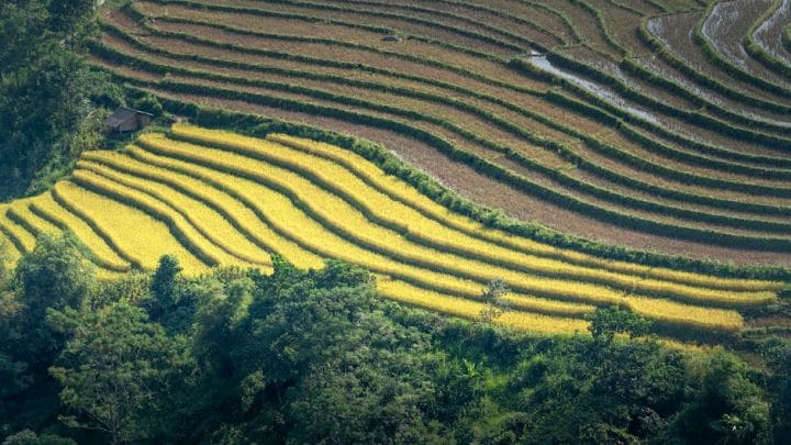 Les destinations émergentes à visiter