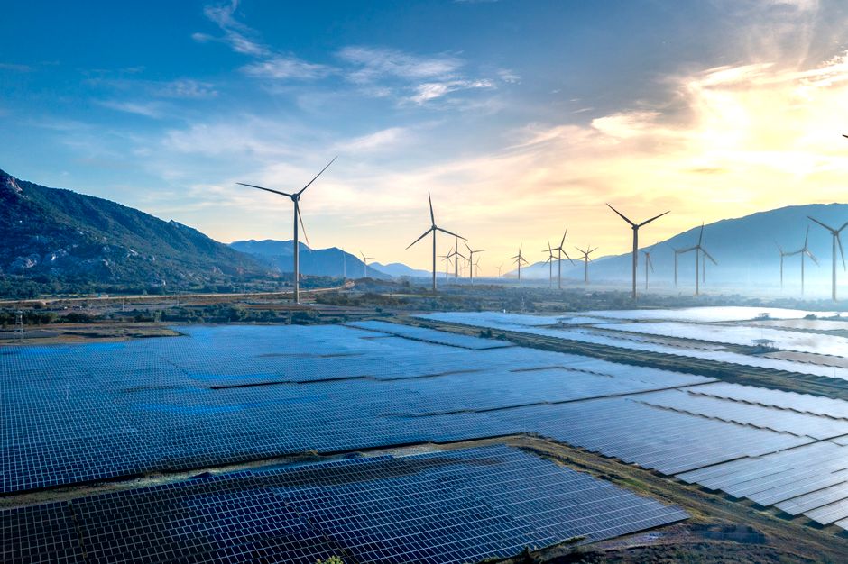 Adopter des réflexes écologiques au quotidien