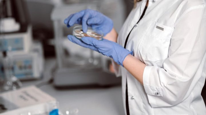 Nutrition personnalisée 2026 : l’IA décrypte votre assiette