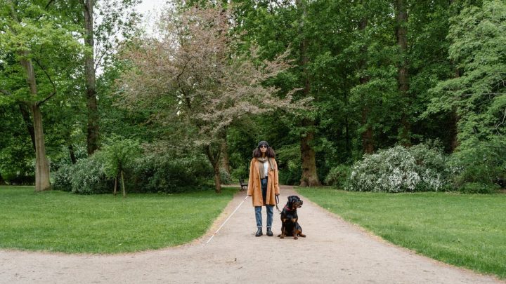 Un rendez-vous à l’aveugle où vous rencontrerez l’amour de votre vie