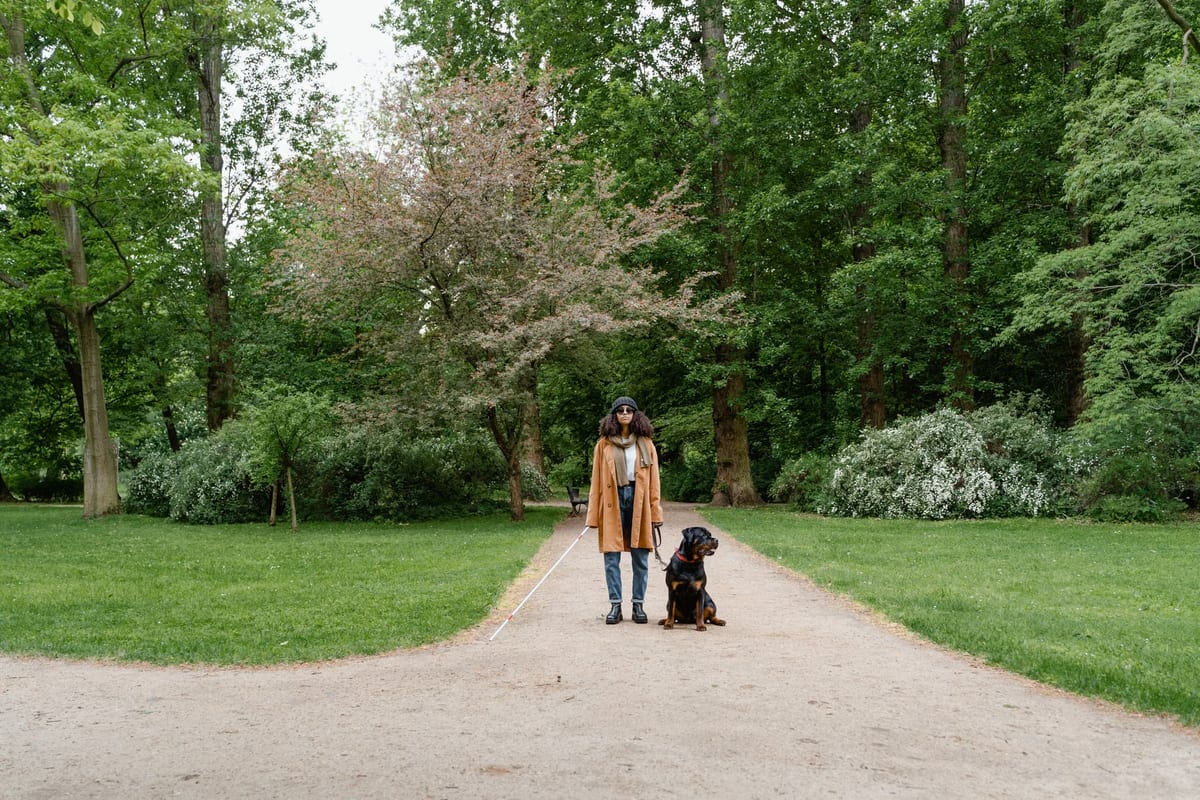 Un rendez-vous à l'aveugle où vous rencontrerez l'amour de votre vie