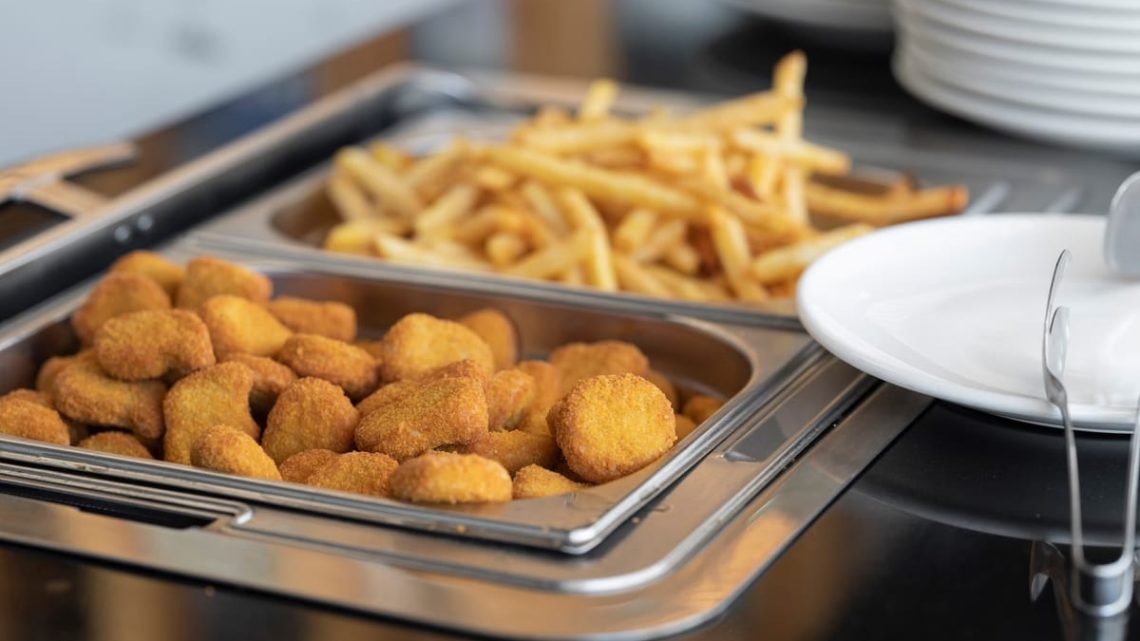 Top 10 Meilleure Friteuse Professionnelle 2026